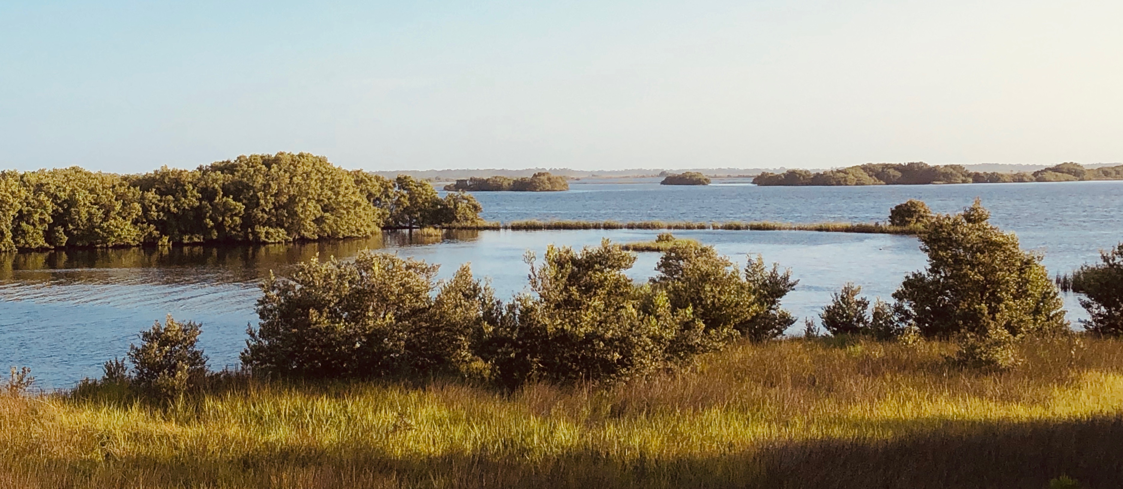 cedar key waters